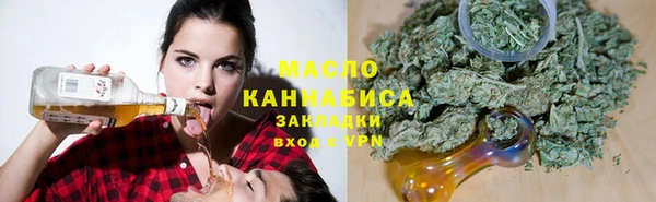 индика Анжеро-Судженск