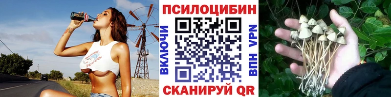 мега ТОР  Междуреченск  Псилоцибиновые грибы ЛСД 